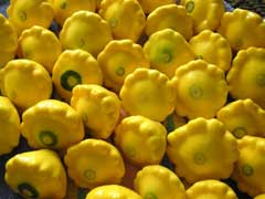 squash