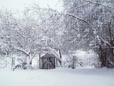 Winter Garden Gate
