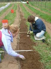 apprentices planting