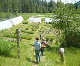 greentree gardens