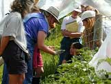 workshop for gardeners