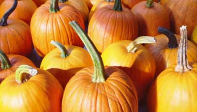 greentree pumpkins